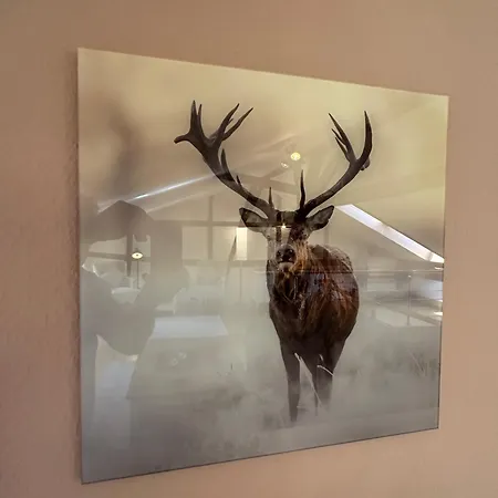 公寓 Poelle41 - 3min Zum Markt - Fachwerk - Denkmal 奎德林堡