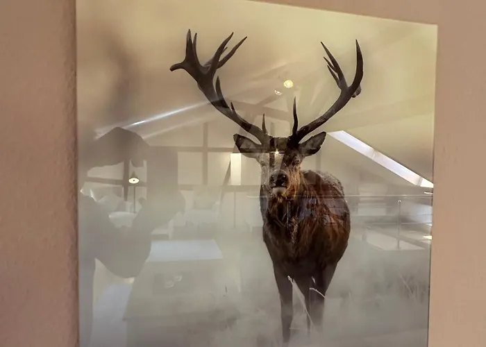 Apartmán Poelle41 - 3min Zum Markt - Fachwerk - Denkmal Quedlinburg